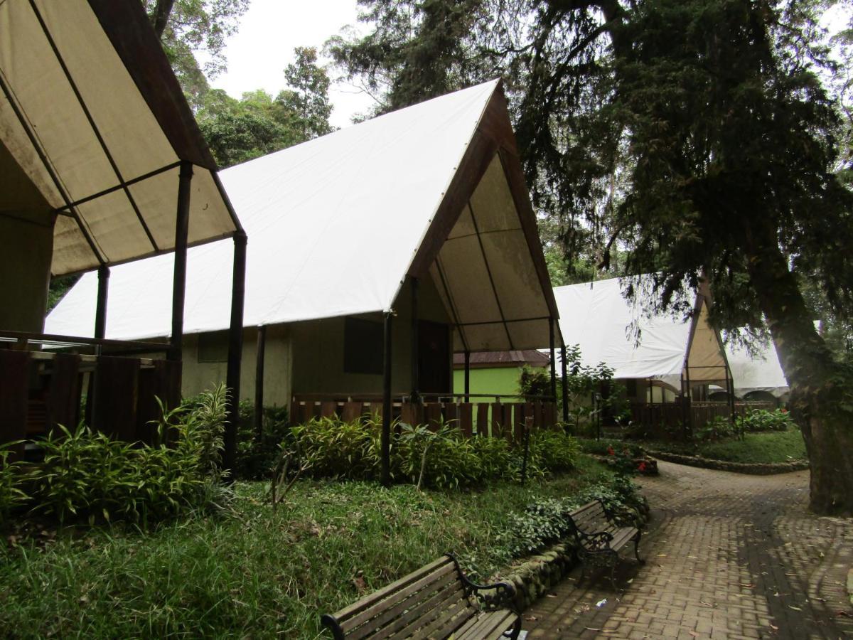 Lawu Forest Camp Sarangan Esterno foto