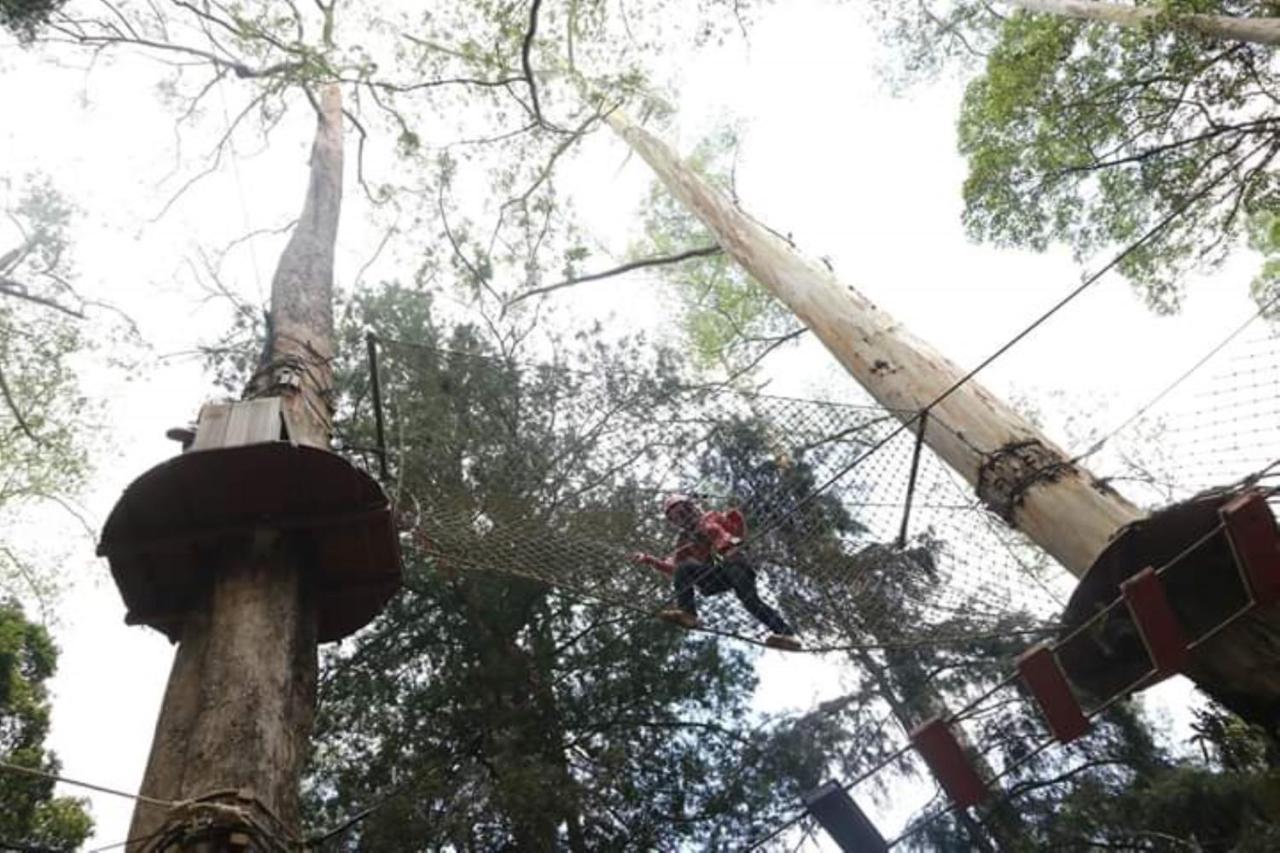 Lawu Forest Camp Sarangan Esterno foto